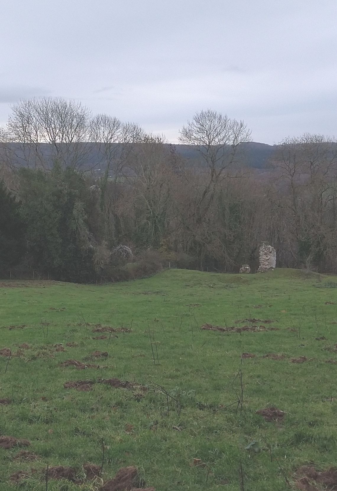 ruin in Penyard Park